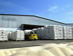 Akibat Kebijakan Impor Beras terhadap Ketahanan Pangan