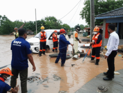 Kedudukan BNPB dalam Penindakan Bencana Alam