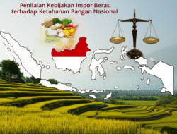 Penilaian Kebijakan Impor Beras terhadap Ketahanan Pangan Nasional