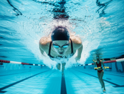 Program Latihan Daya Tahan Untuk Atlet Renang