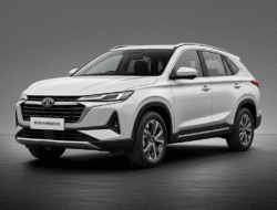 Mobil Keluarga Ramah Hewan Peliharaan: Fitur yang Harus Dicari