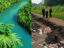 Studi Kasus Penanganan Kejahatan Lingkungan dan Penegakan Hukum