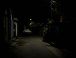 Jalan Tanpa Penerangan Jadi Sarang Kejahatan Malam Hari